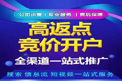 SEM竞价代运营公司实战案例分析
